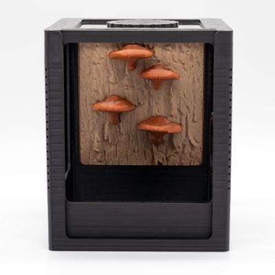 Tiny House Komplett-Set mit Terrariumrückwand Mushroom edition
