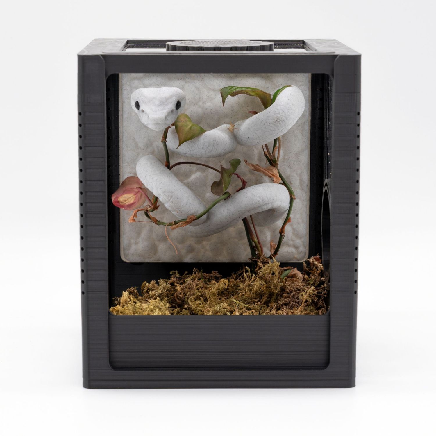 Tiny House Komplett-Set mit Terrariumrückwand Snake edition