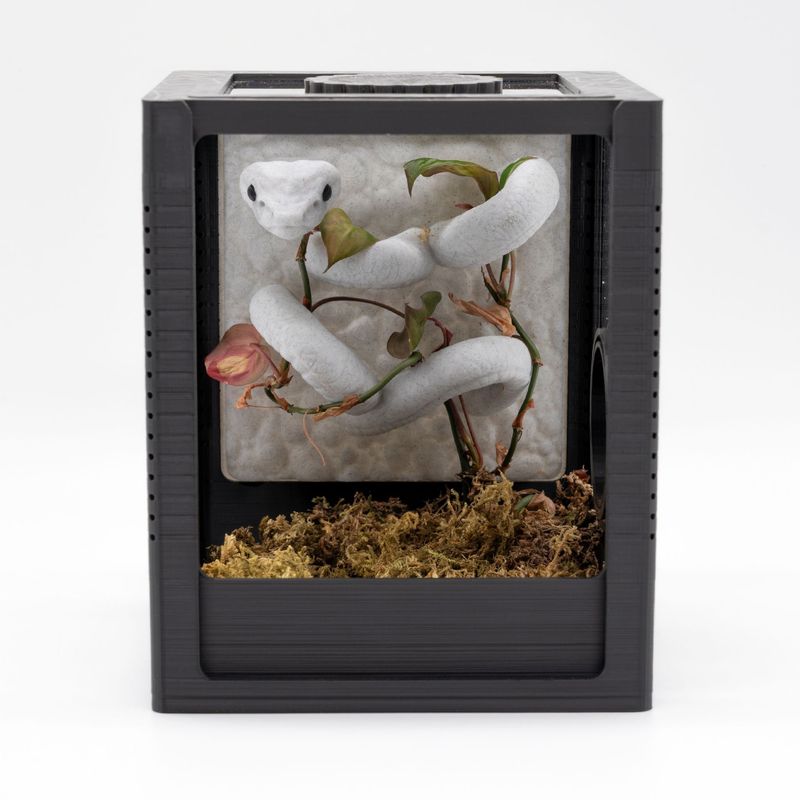 Tiny House Komplett-Set mit Terrariumrückwand Snake edition