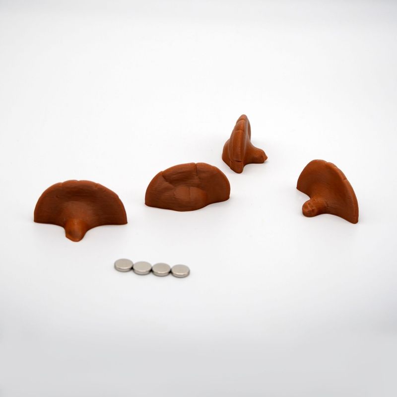 Tiny Rindenpilz 4er Set mit Magnet