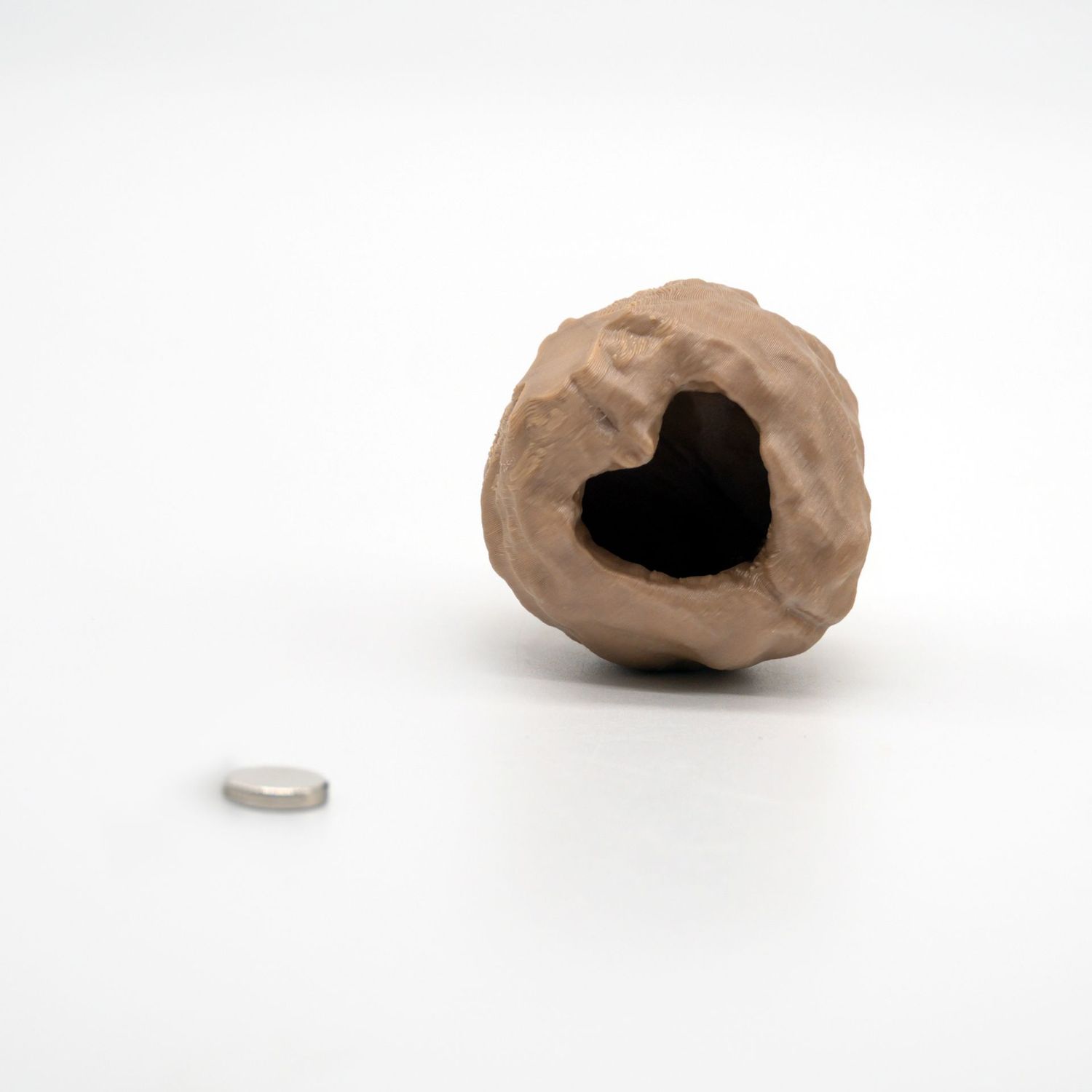 Tiny Hood Walnuss mit Magnet