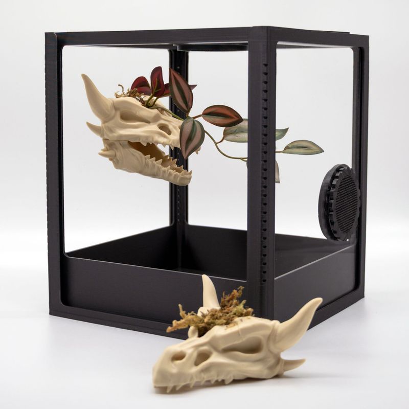 Tiny Dragonskull Planter mit Magnet