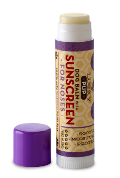Dog Balm with Sunscreen for noses