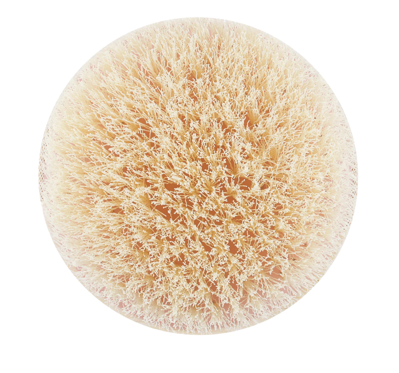 ecoTOOLS Dry Body Brush