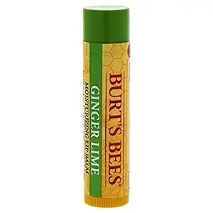 Burts Bees Moistuirzing Lip Balm