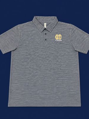 Blue &amp; White Striped Polo