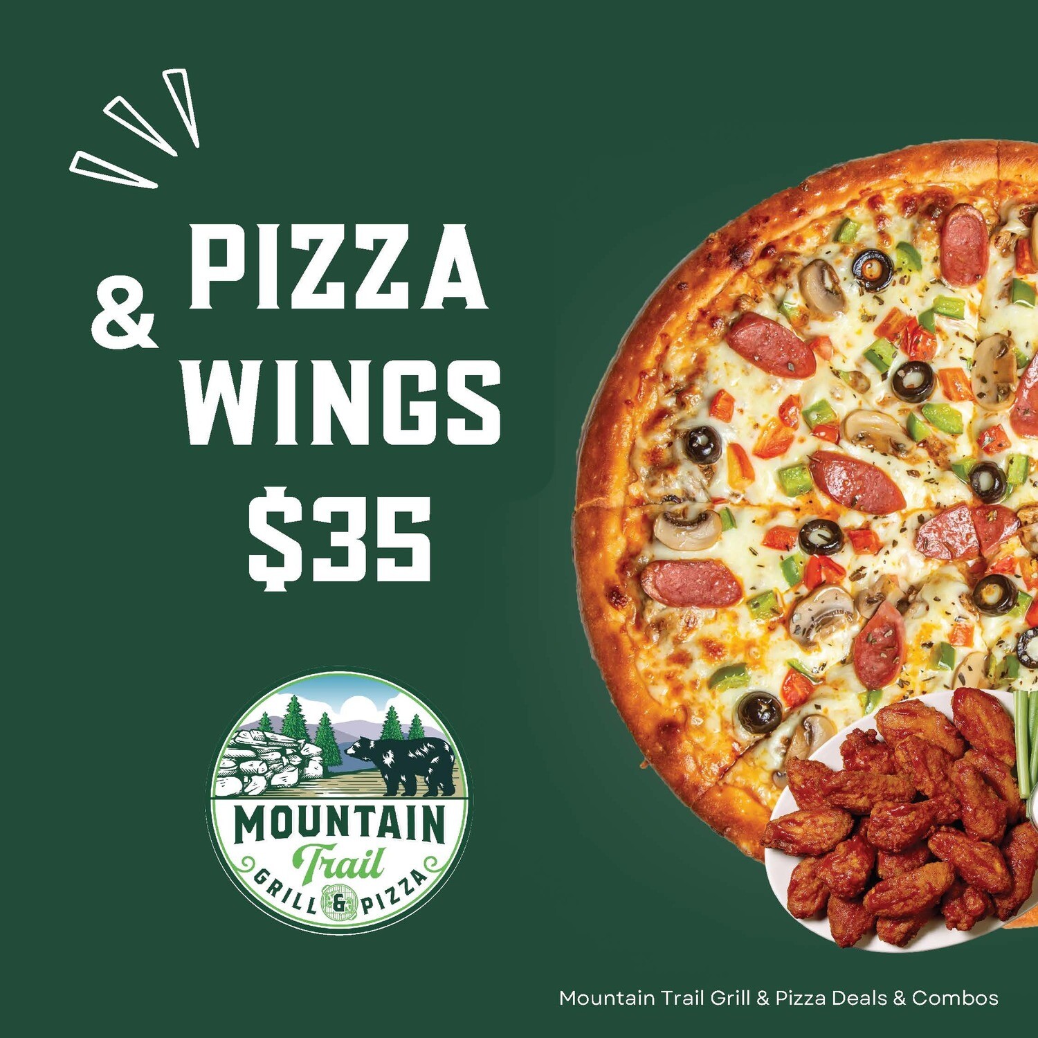 Large Pizza and Wings Deal
