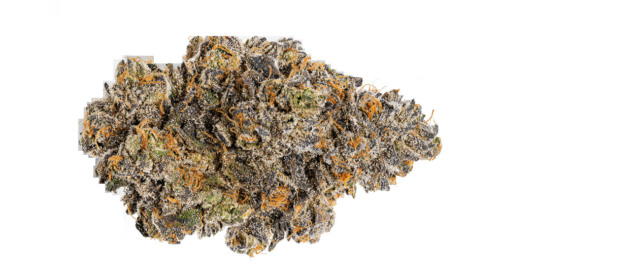 Hardcore OG (INDICA) - 27.74% THC
