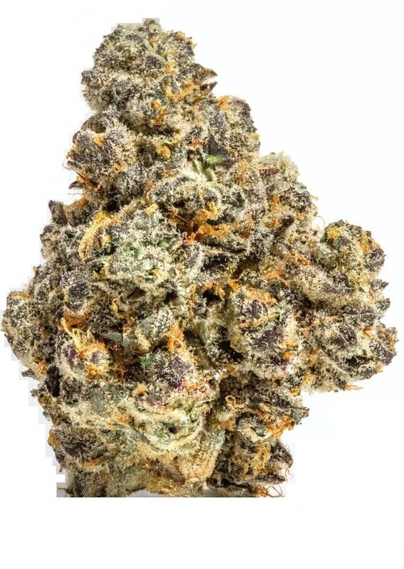 Animal Cookies (HYBRID) - 31.78% THC