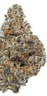 Oreoz (INDICA) - 28.31% THC