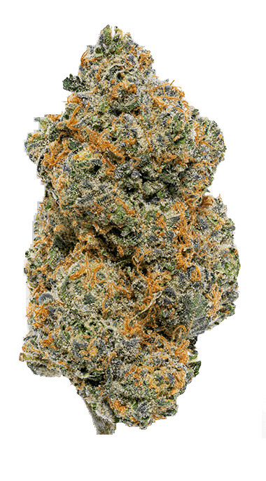 Mai Tai Strain (SATIVA) - 27.41% THC