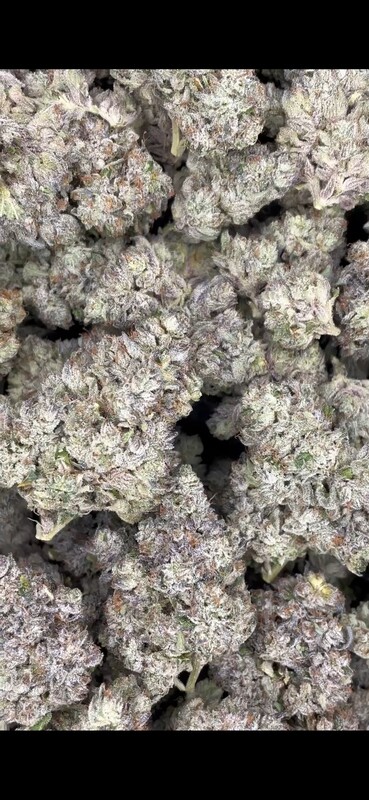 Sour Power OG (INDICA) - 30.22% THC