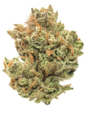 Super Lemon Haze Strain (SATIVA) - 28.52% THC