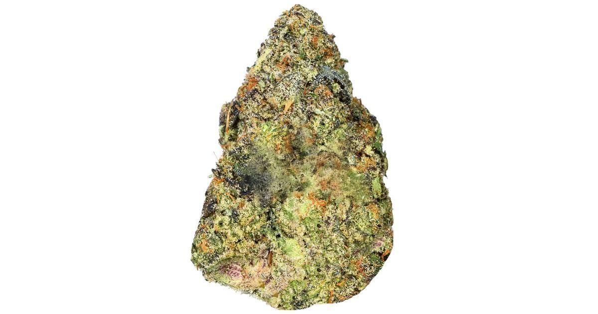 Hawaiian Snow (SATIVA) - 30.11% THC