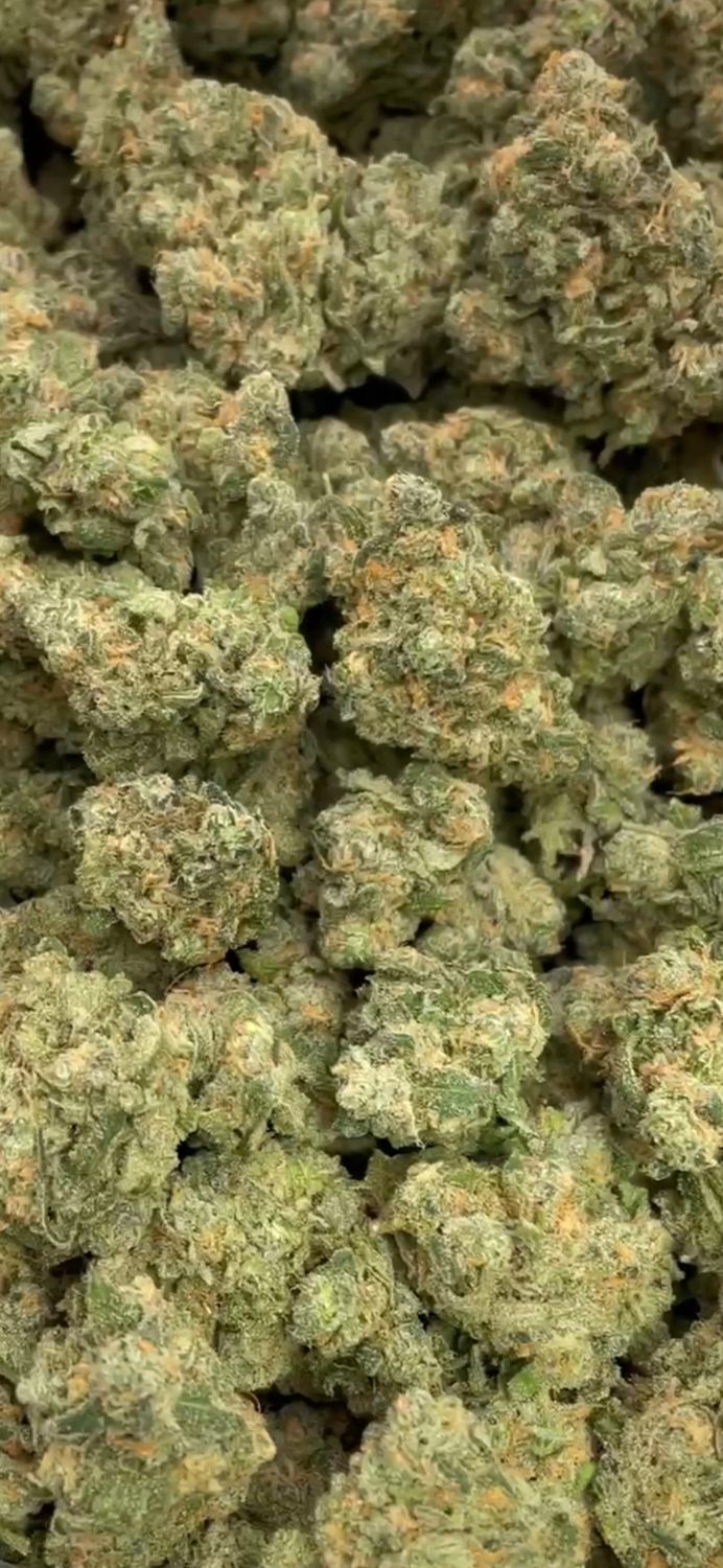 Blue Dream Strain (SATIVA) - 30.26% THC