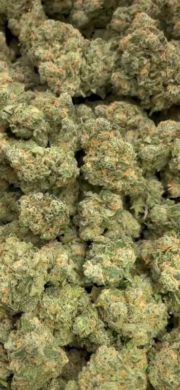 Blue Dream Strain (SATIVA) - 30.26% THC