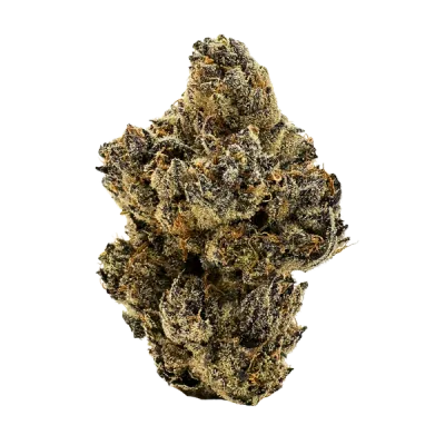 SFV OG Kush (INDICA) - 29.83% THC