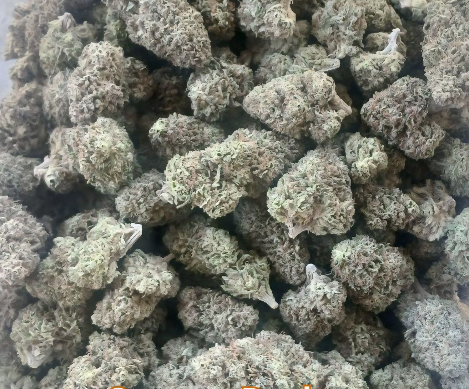 Orange Durban (SATIVA) - 26.71% THC