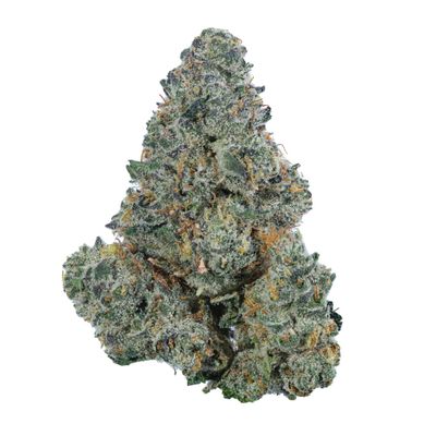 Strawberries and Cream (SATIVA) - 30.56% THC Strawberries and Cream (SATIVA) - 30.56% THC