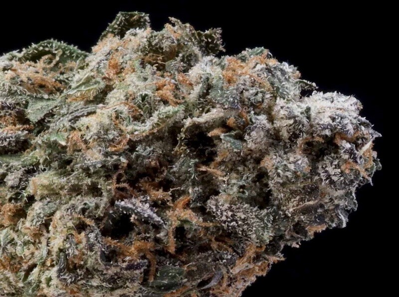 Purple Panty Dropper (HYBRID) - 29.83% THC