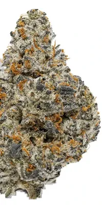 Grape Ape (INDICA) - 29.78% THC
