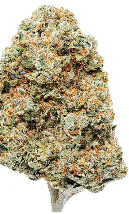 Skywalker OG (INDICA) - 28.64% THC