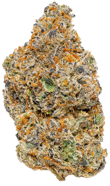 Animal Mintz Strain (HYBRID) - 27.49% THC