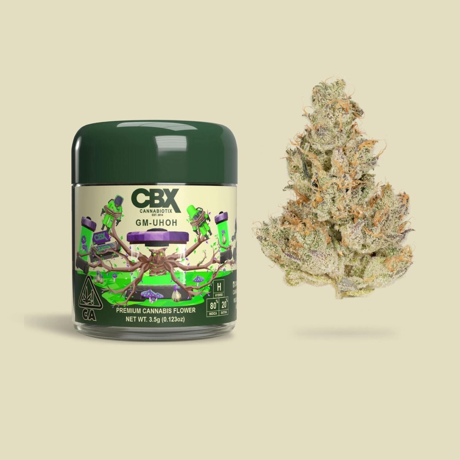 CBX GM-UHOH (HYBRID) - 36.22% THC