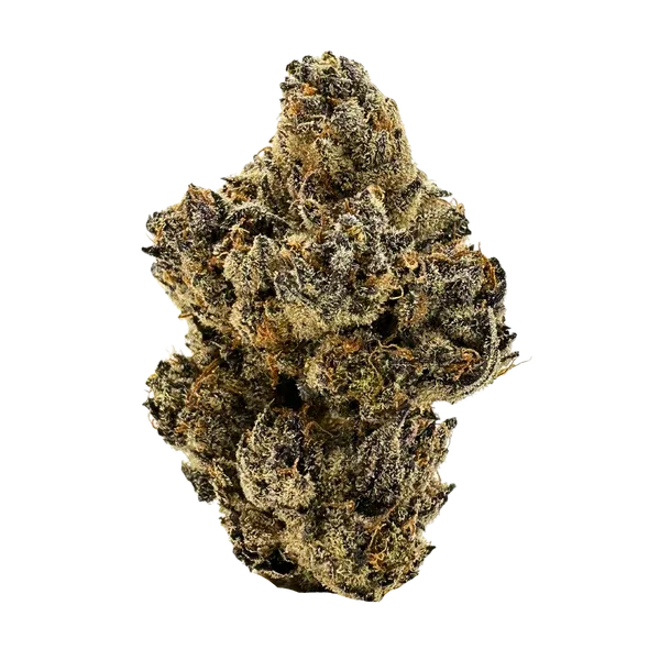 Master Kush (INDICA) - 28.38% THC Master Kush (INDICA) - 28.38% THC