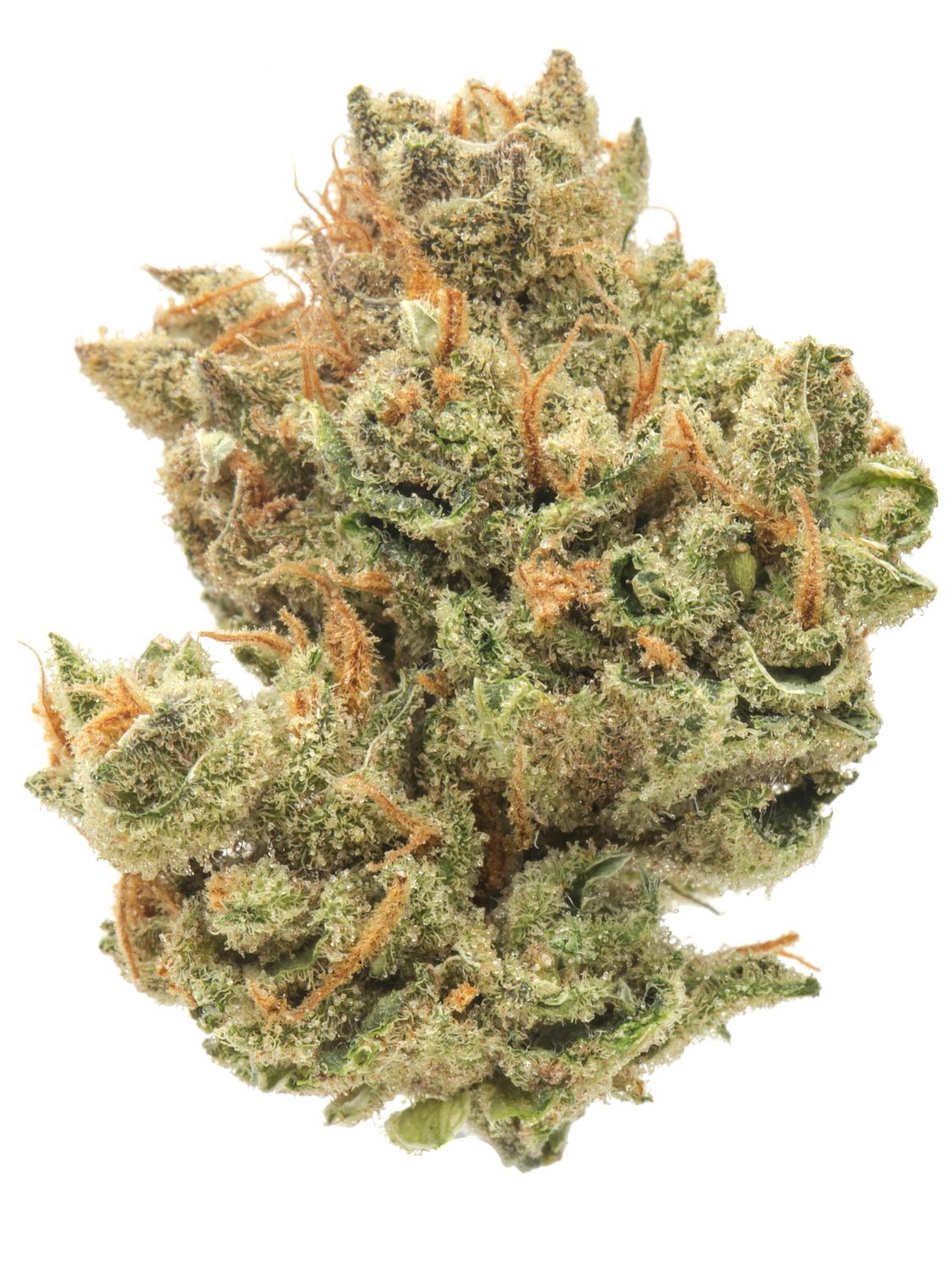 Super Silver Haze Strain (SATIVA) - 28.08% THC