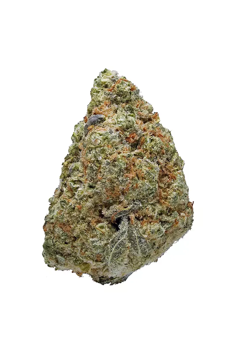 Pink Lemonade Strain (SATIVA) -31.92% THC