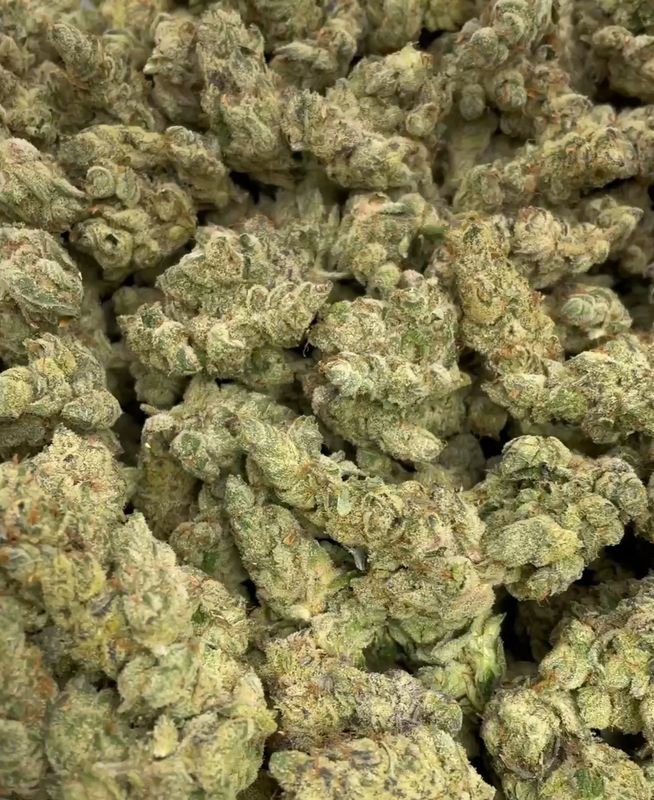 Tropical Haze (SATIVA) - 30.41% THC Tropical Haze (SATIVA) - 30.41% THC