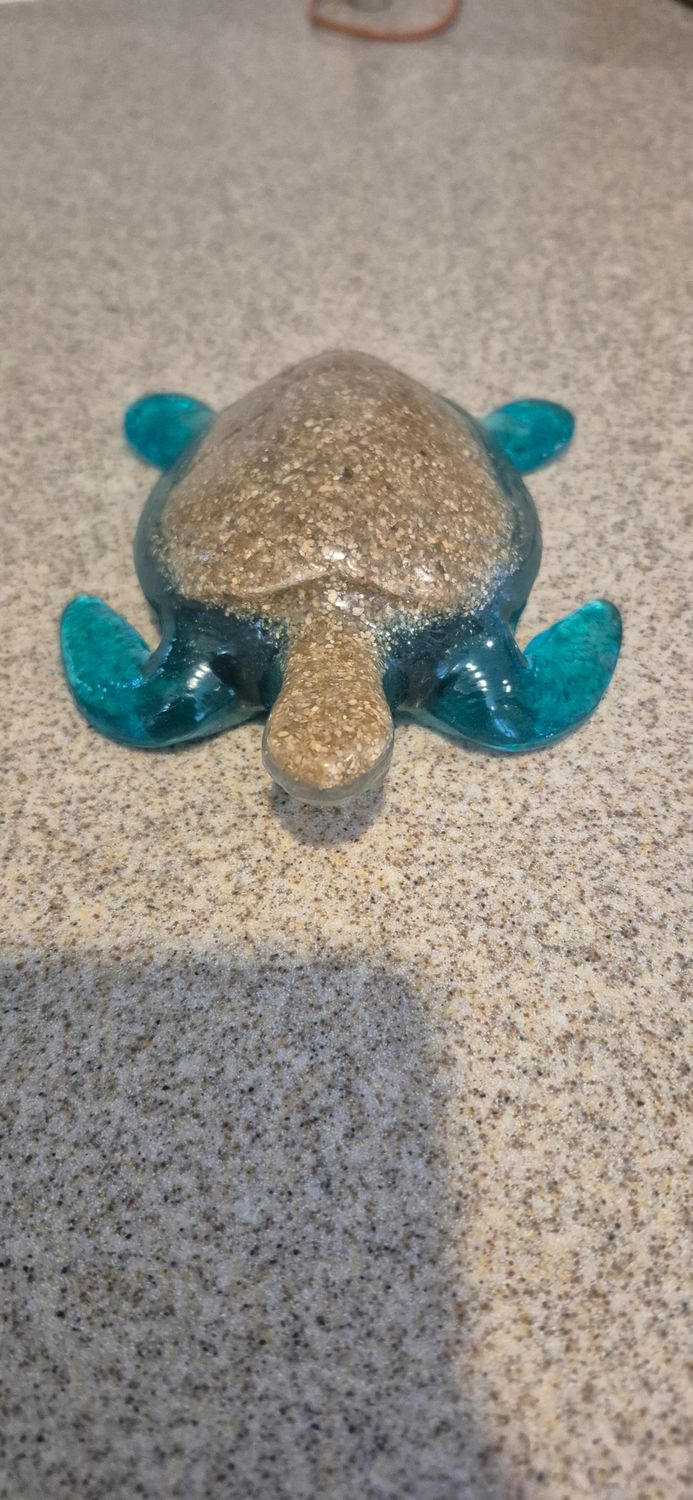 Sea Turtle Sea Turtle