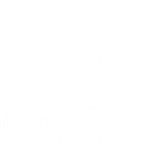 Nagda Dairy Farm || Farm Fresh Milk in Udaipur || Best Dairy in Udaipur ||