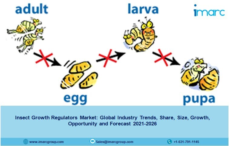Insect Growth Regulators Market 2021-26: Trends, Growth, Scope, Demand and Opportunities