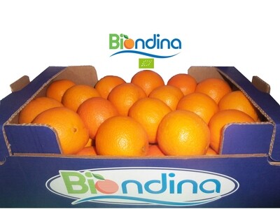 Arance Biondina certificata Biologica
cassetta 10 kg                  
           &quot;INCLUSA SPEDIZIONE&quot;