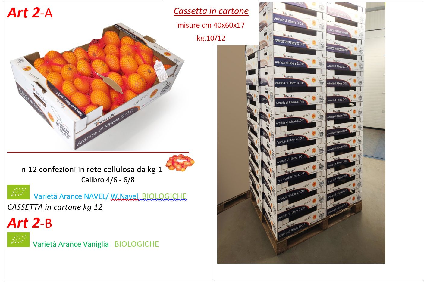 CASSETTE ARANCE DOP SU PALLET