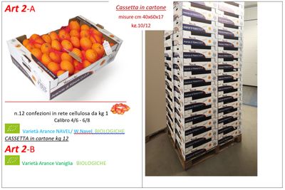 CASSETTE ARANCE DOP SU PALLET