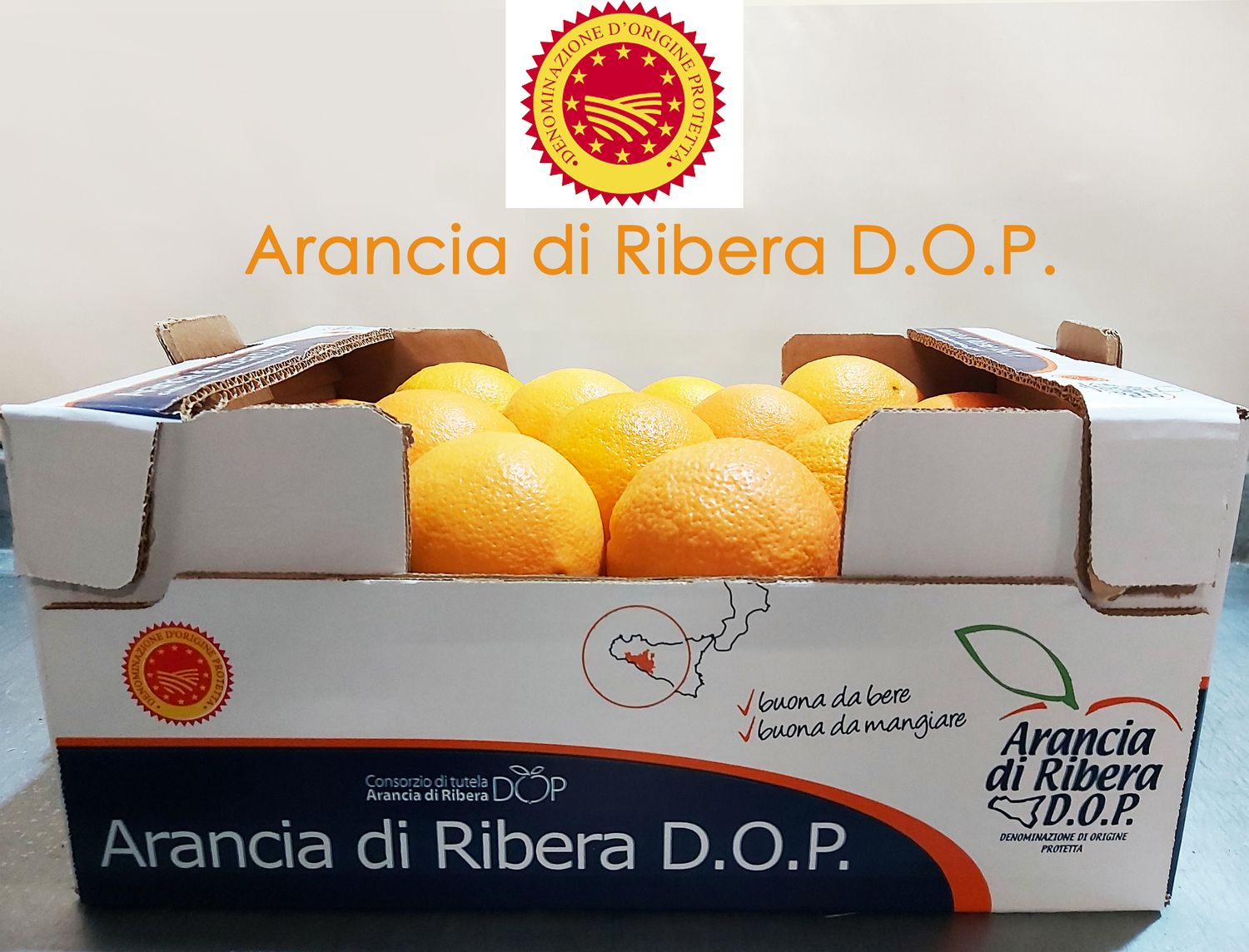 Arancia di ribera DOP