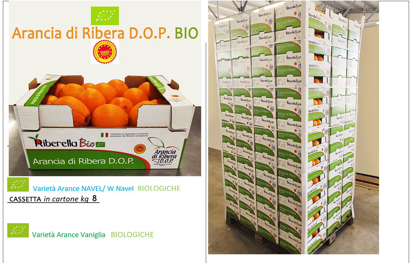 Pallet EPAL -- Pallet industrial- a richiesta con logo cliente