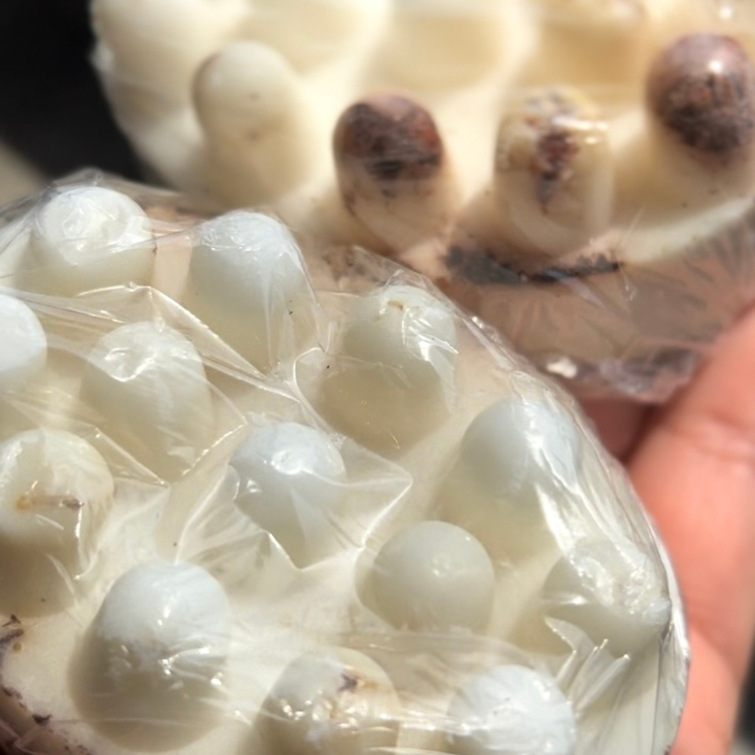 Eczema Therapy Soap