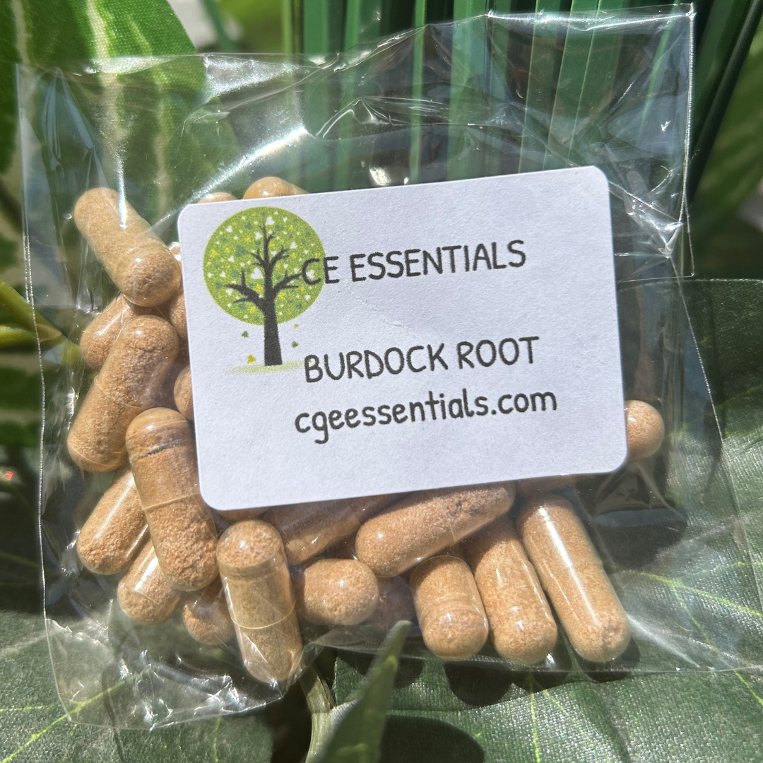 Burdock Root Powder Capsules (Qty.30)