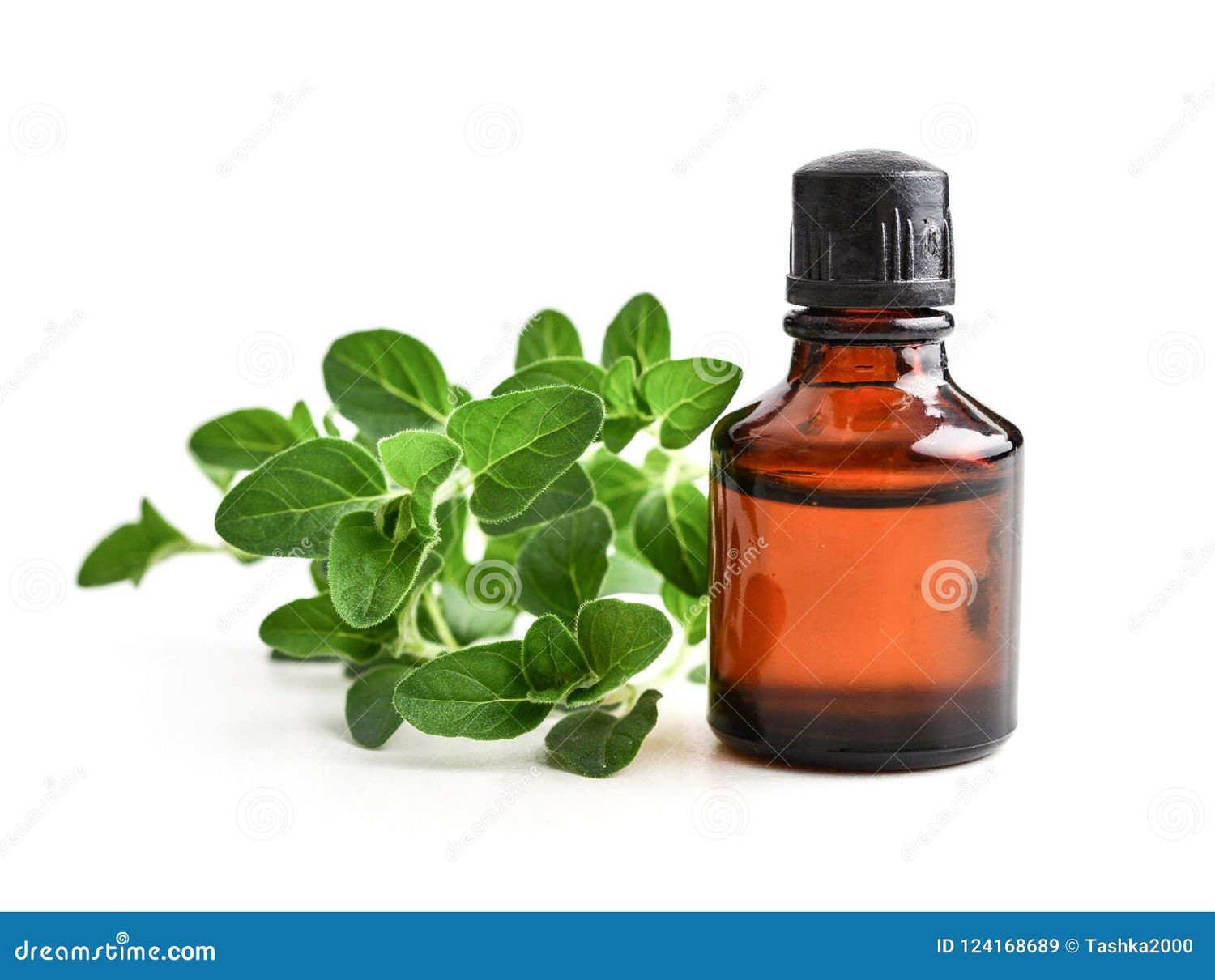 Oil of Oregano 2 oz.