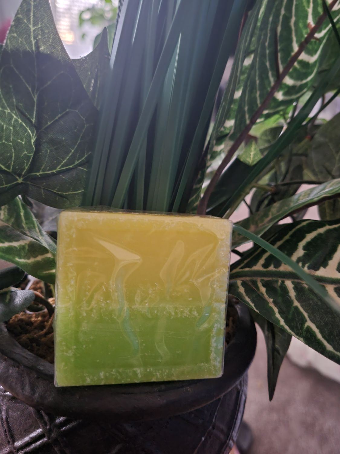 Green Tea Soap Bar
