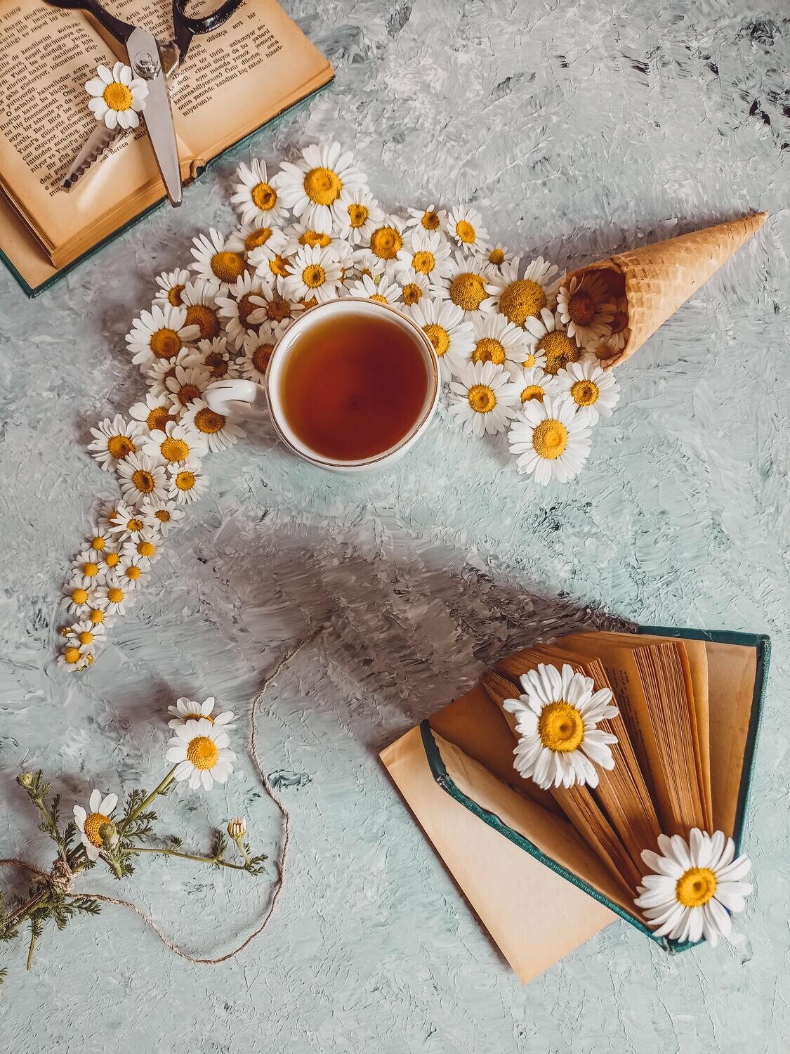 Dandelion Root Capsules (30)