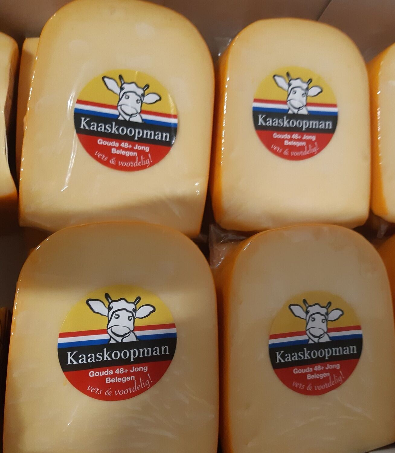 Jong Belegen kaas 48+ 500gr