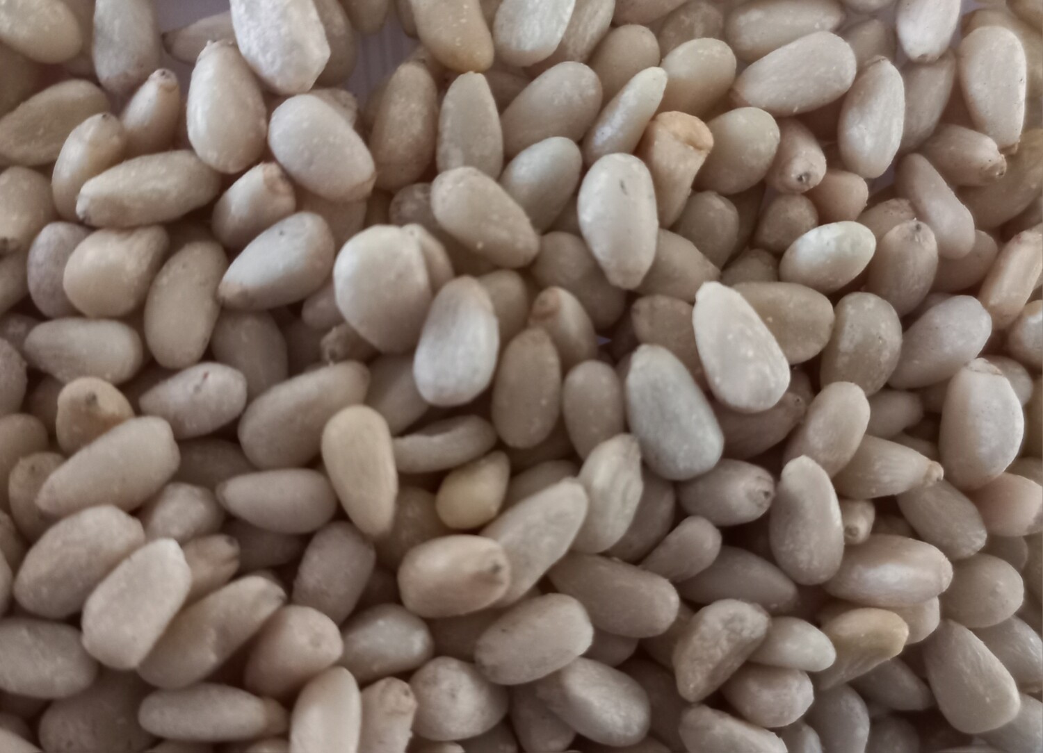 Pijnboompitten 75gr