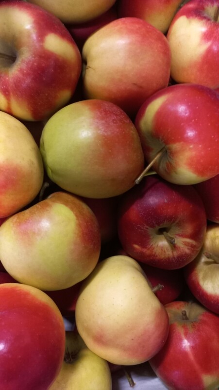 Elstar Appels 1kg 