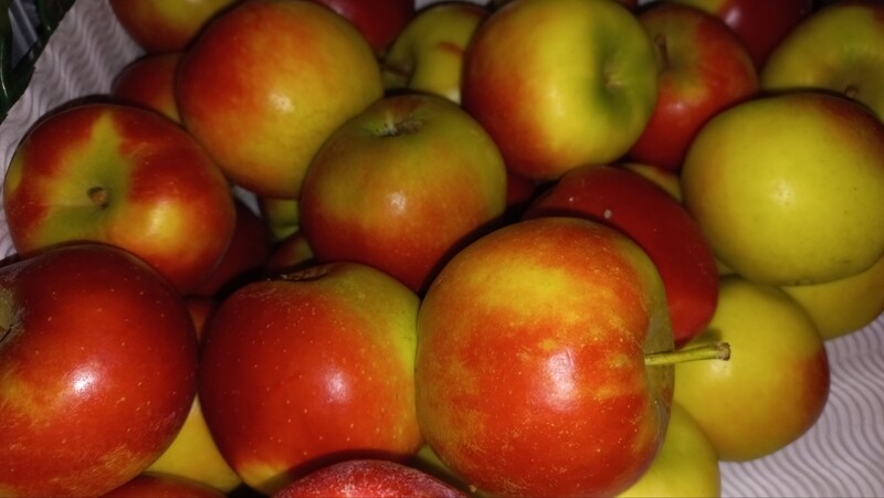 Junami Appels 1kg 