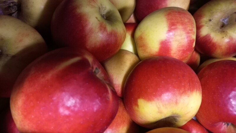 Jonagold Appels 1kg 